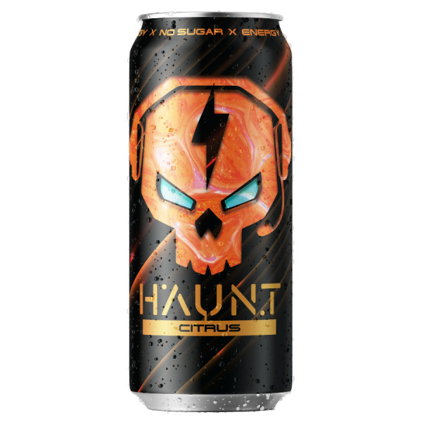 Fitness Food Factory HAUNT 500 ml (Цитрус)