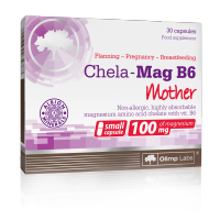 Chela-Mag B6 Mother
