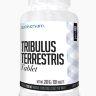 Nutriversum не использовать Tribulus Terrestris (40%) 120 tab