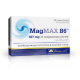 MagMAX B6