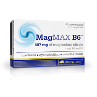 MagMAX B6
